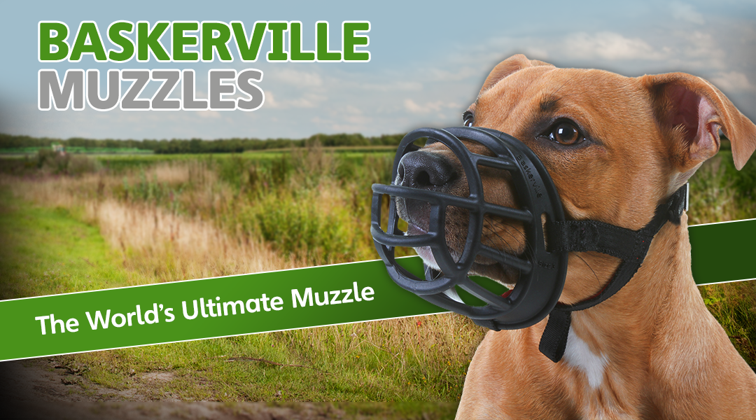 fitting a dog muzzle