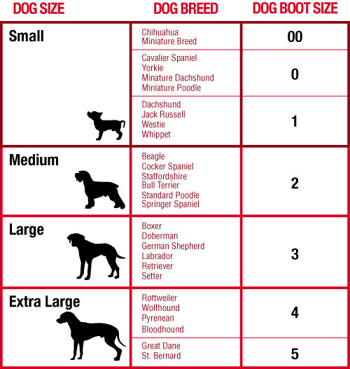Dog Boot Size Chart