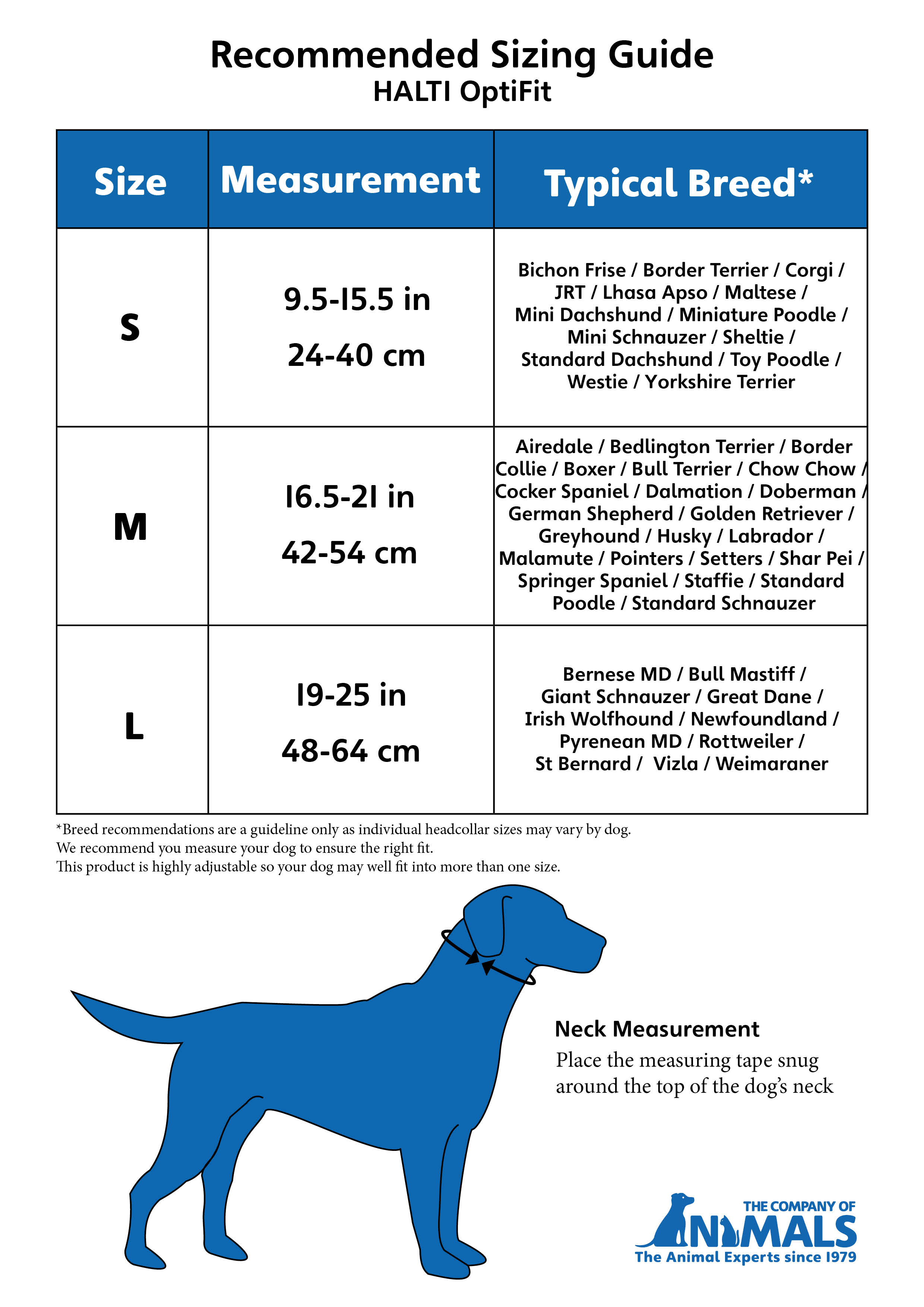 Irish Wolfhound Size Chart