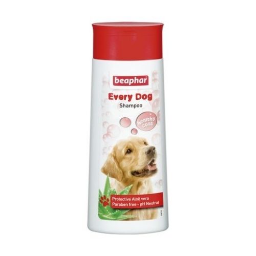 (D) BEAPHAR Every Dog Shampoo 250ml