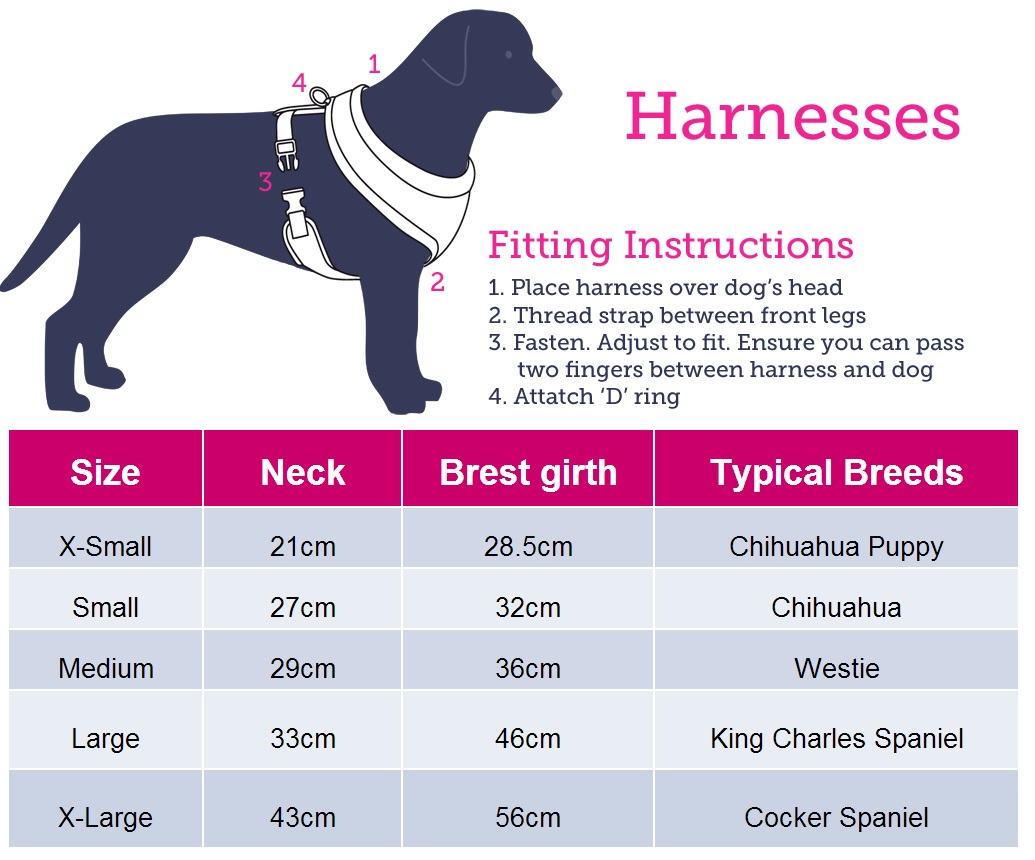 Doodlebone Purple Mesh Dog Harness