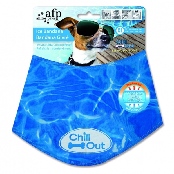 All for Paws Ice Bandana XL
