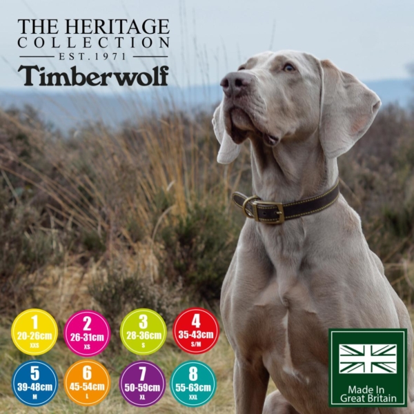 ANCOL Timberwolf Leather Collar Grey Size 7 60cm