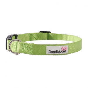 Doodlebone Bold Range Collar For Dogs X-Small, Green