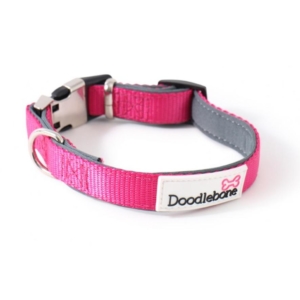 Doodlebone Bold Padded Nylon Collar Pink