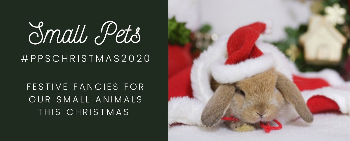 PPS Christmas Small Pets