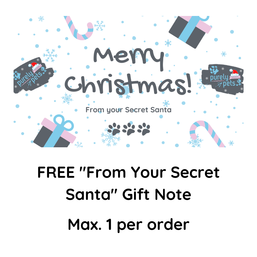 Add On – Secret Santa Gift Note