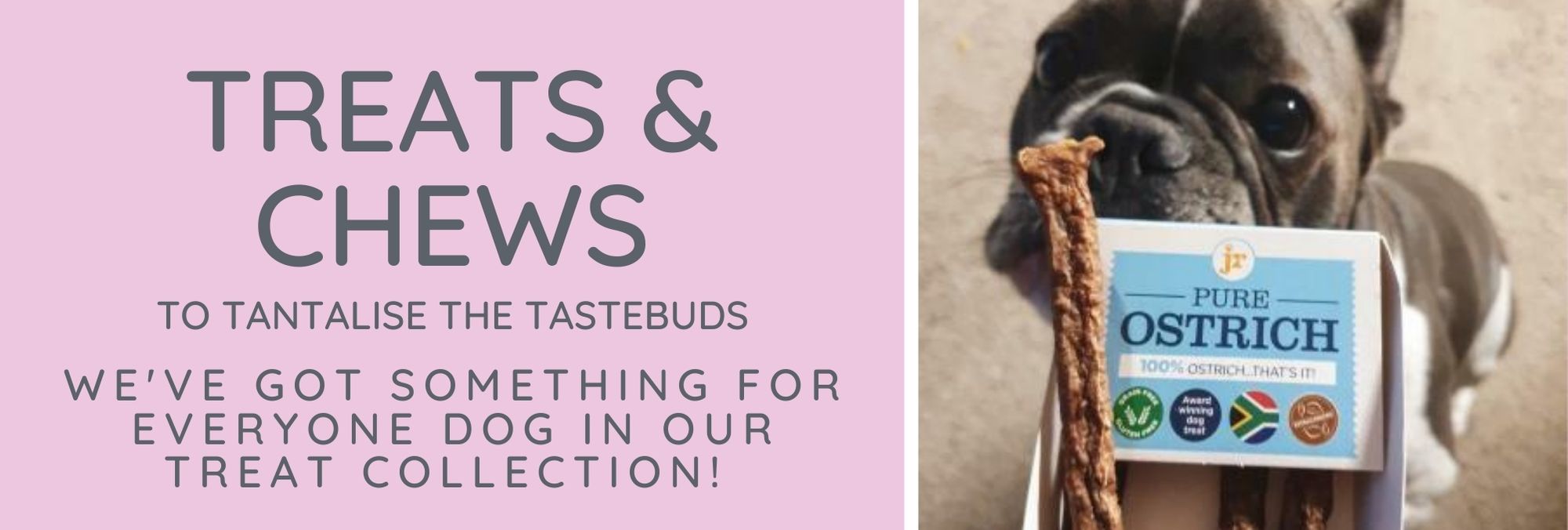 Website Banner - dog treats & chews main