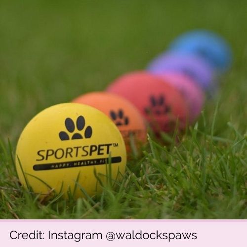 @waldockspaws PP10631 SportsPet Tough Bounce Balls