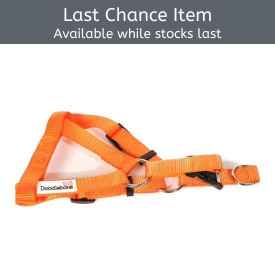 Doodlebone Bold Harness Orange Medium 60-70cm