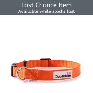 Doodlebone Bold Nylon Collar Orange XL 60-75cm