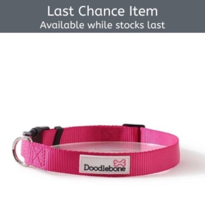 Doodlebone Bold Nylon Collar Cerise Pink XL 60-75cm