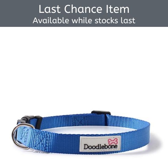 Doodlebone Bold Nylon Collar Navy Blue XL