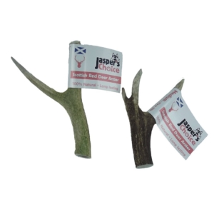 Whole Deer Antler Small 60g