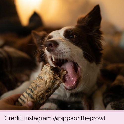 @pippaontheprowl PP14772 JR Air Pipe Beef Trachea