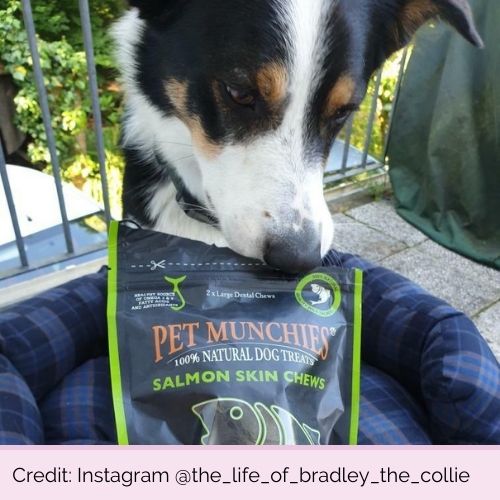 @the_life_of_bradley_the_collie PP6684 Pet Munchies Salmon Skin Chew Large