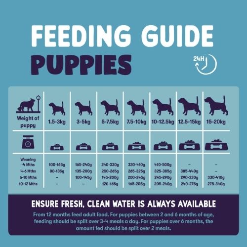 Burgess SENSITIVE Puppy with Turkey 12.5kg Feeding Guide