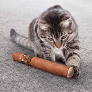 KONG Better Buzz Cigar with Catnip