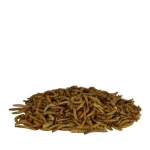 Dried Mealworms [per 100g]