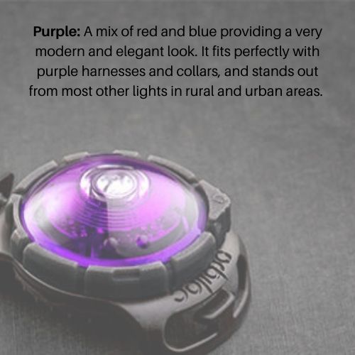 Orbiloc Safety Light Purple