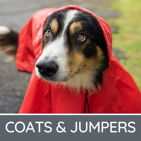 Dog Coats Jumpers Clothing Apparrel