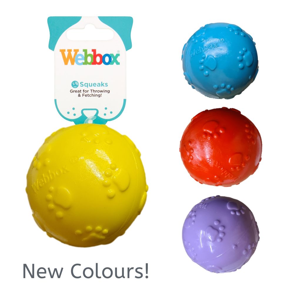 Webbox Squeaky Ball 24x8cm [B2B]