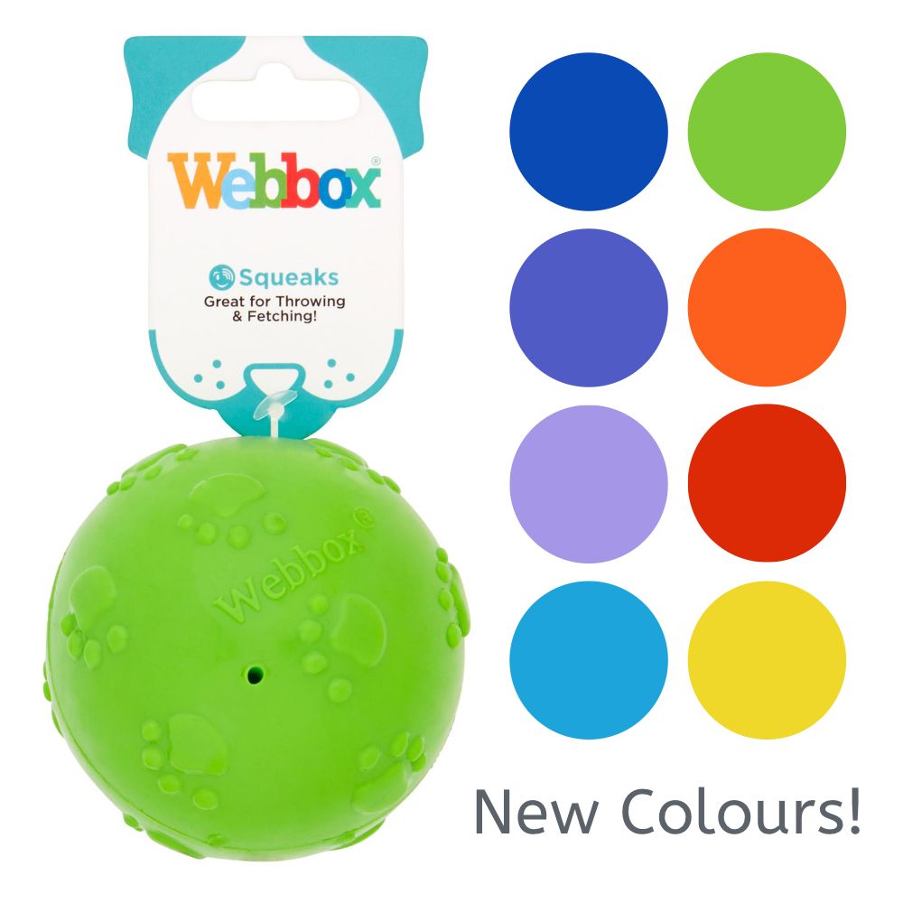 Webbox Squeaky Ball 8cm