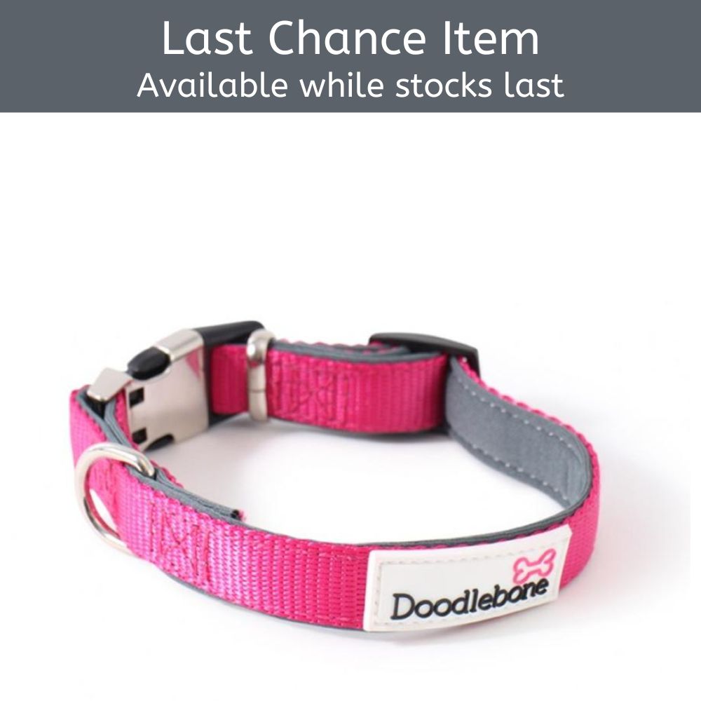 Doodlebone Bold Padded Collar Cerise Pink