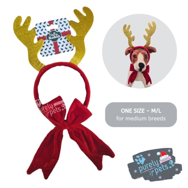 Holly & Robin Sparkly Dog Antlers M/L