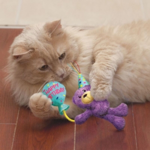KONG Occasions Cat Birthday Teddy