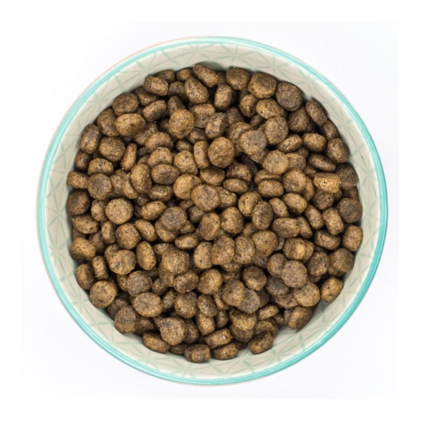 BURNS Grain Free Cat Food Duck & Potato 2kg
