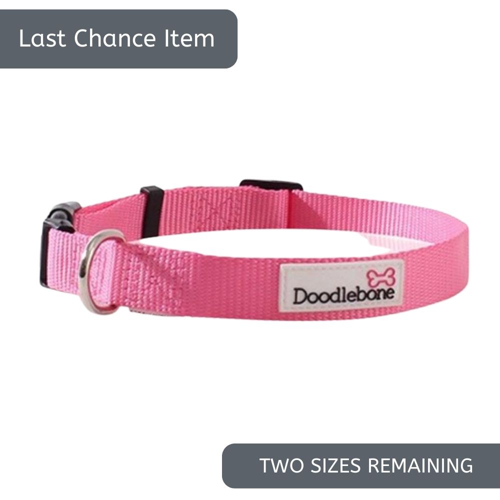 Doodlebone Baby Pink Dog Collar