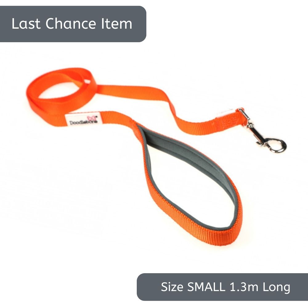 Doodlebone Bold Lead Orange Small 1.3m