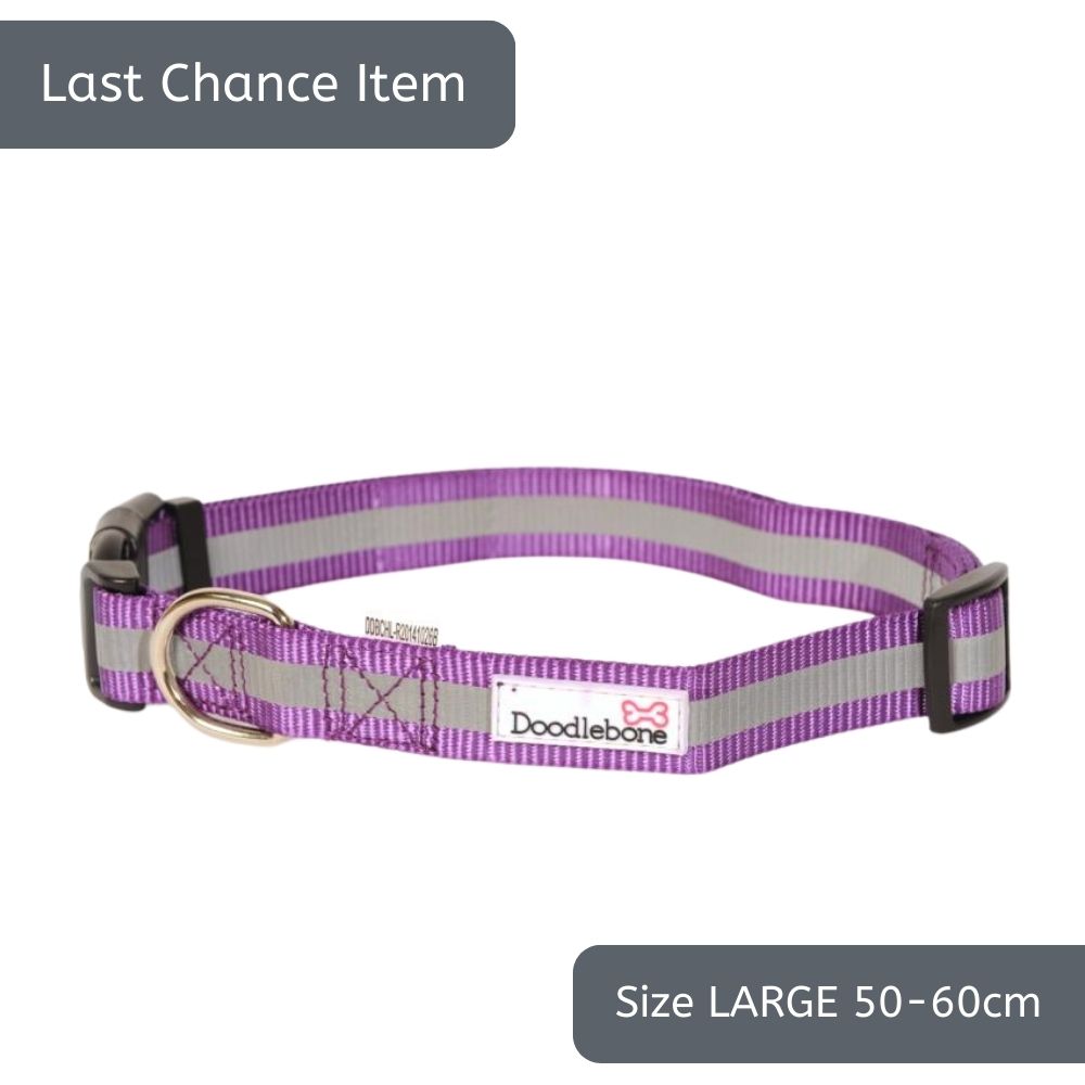 Doodlebone Bold Reflective Collar Purple Large 50-60cm