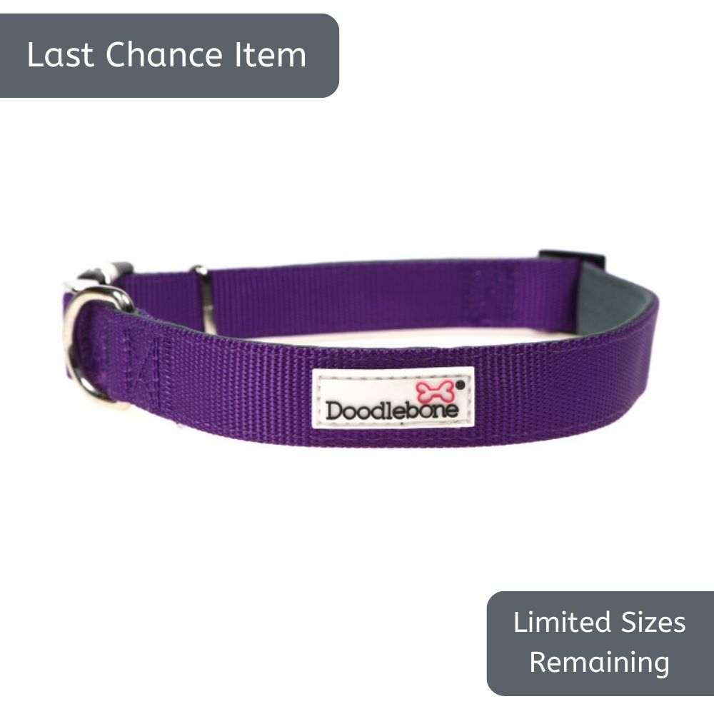Doodlebone Purple Padded Dog Collar