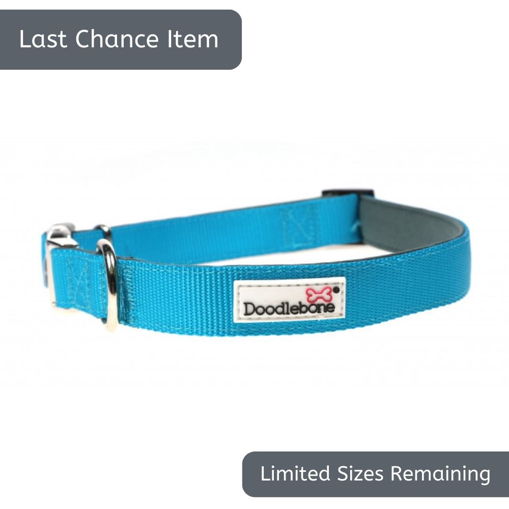 Doodlebone Cyan Blue Padded Dog Collar