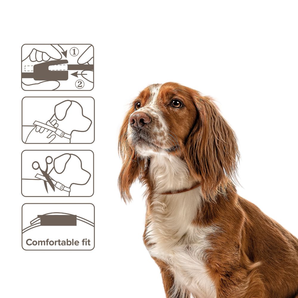Beaphar Flea & Tick Collar for Dogs 65cm