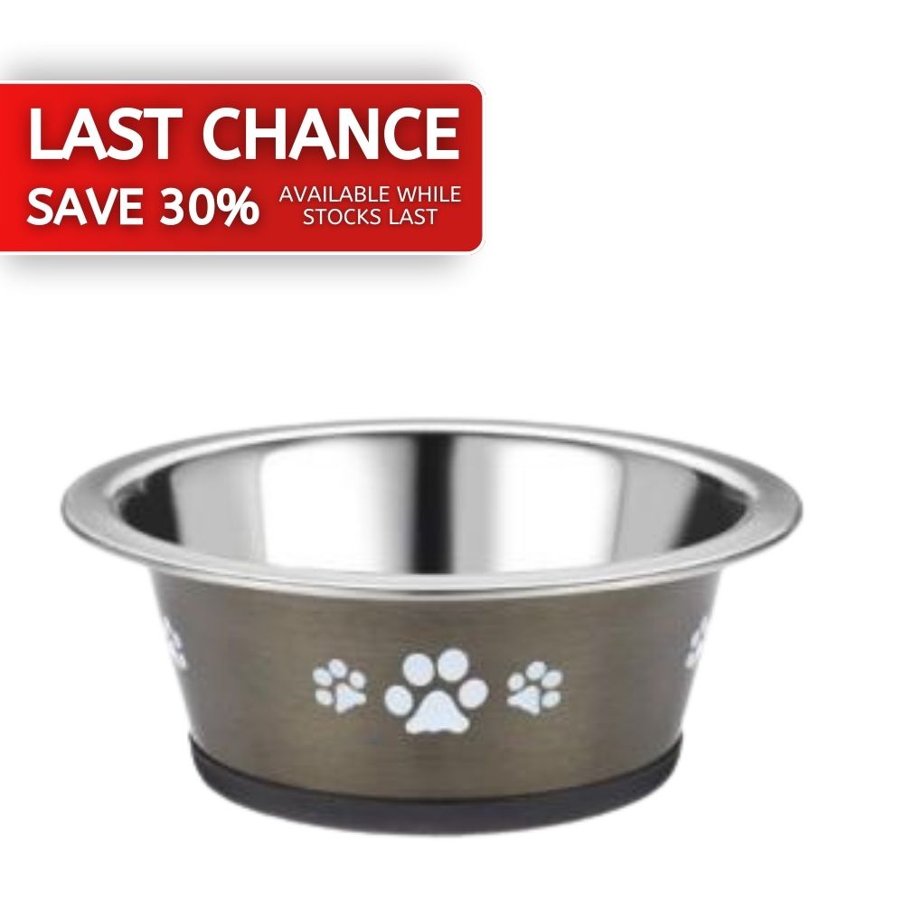 Classic Stainless Steel Paws Cat Bowl 240ml