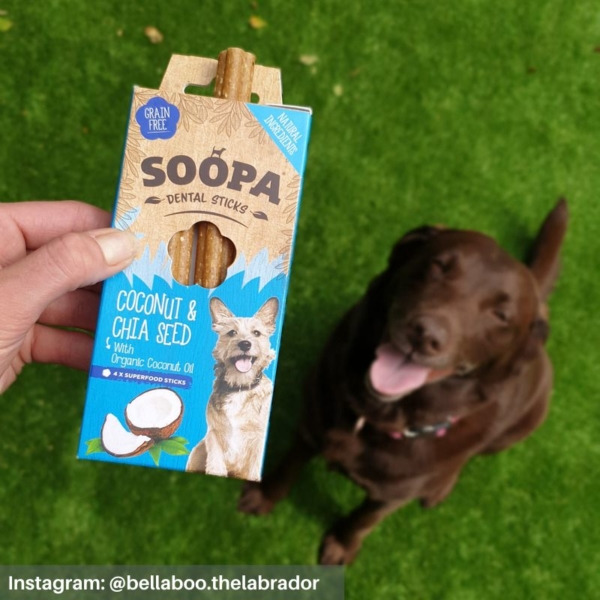 SOOPA Dental Sticks Coconut & Chia Seed Customer Image @bellaboo.thelabrador