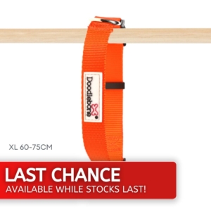 Doodlebone Orange Nylon Collar XL 60-75cm