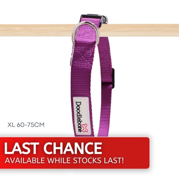 Doodlebone Purple Nylon Collar XL Last Chance