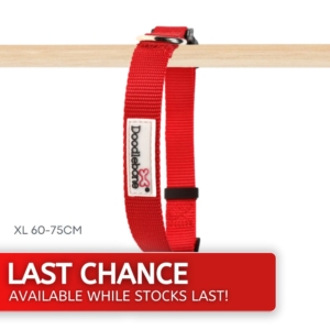 Doodlebone Red Nylon Collar XL LAST CHANCE