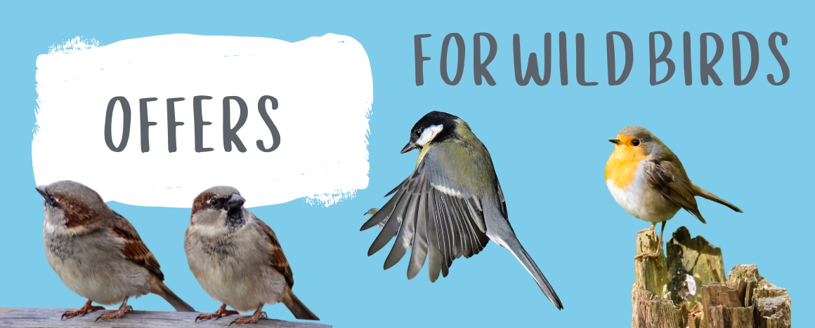 For Wild Birds - Offers