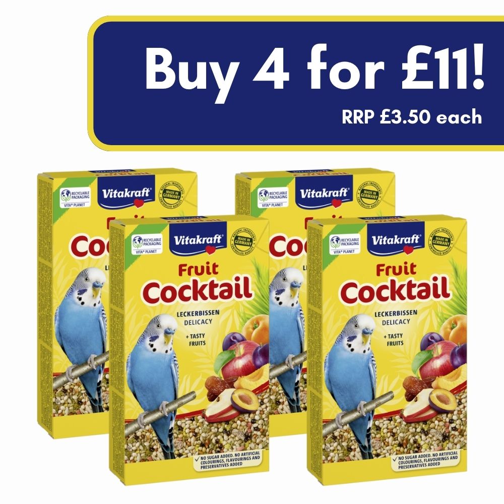 Budgie Fruit Cocktail 4 for £11!