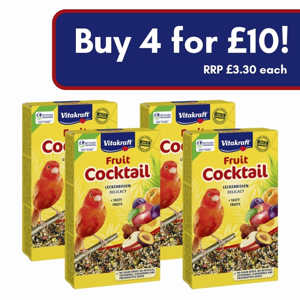 Canary Fruit Cocktail 4 for £10!
