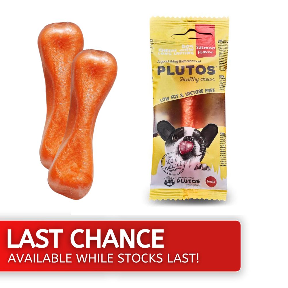 PLUTOS Cheese Chew Salmon Small Last Chance