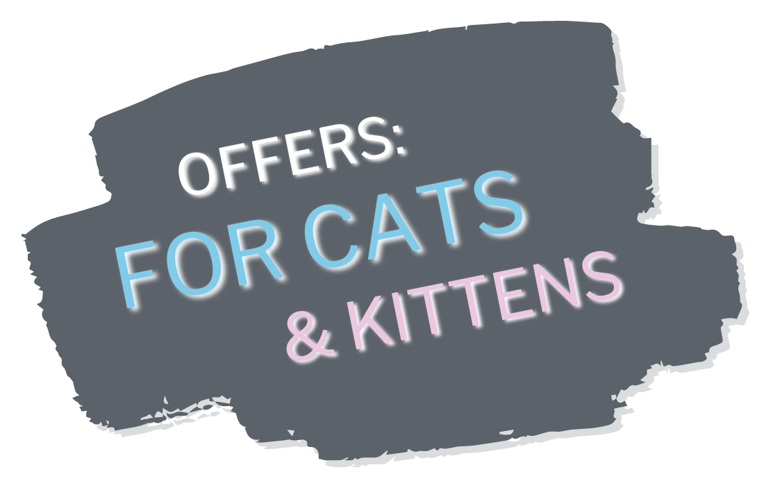 OFFERS for Cats & Kittens