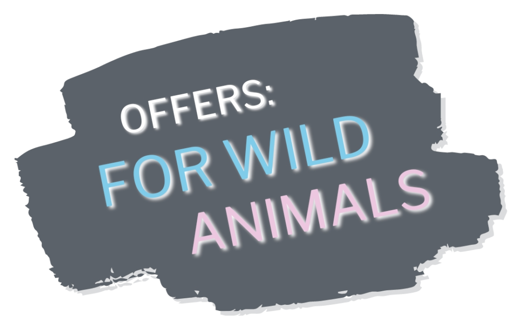 OFFERS for Wild Animals