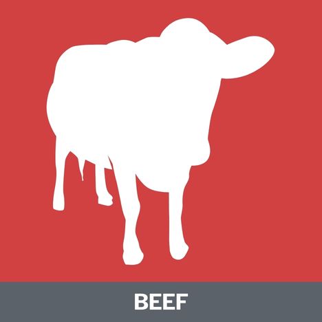 Beef Protein Category