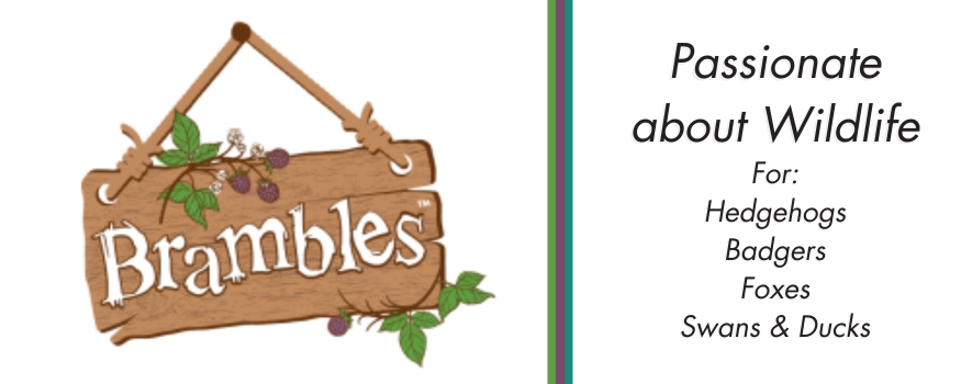 Brambles Logo